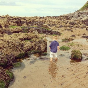 Rock pooling : What to take and learning resources via Toby & Roo :: daily inspiration for stylish parents and their kids.